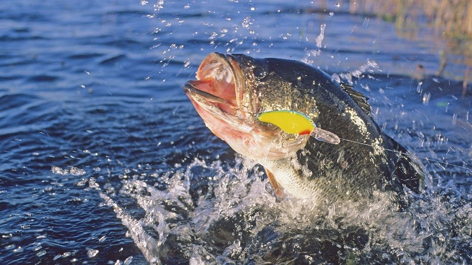 Two amateur anglers to compete for record $3.25 million purse at inaugural bass fishing tournament