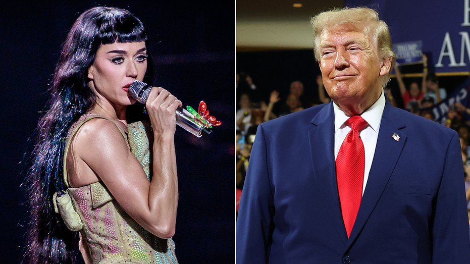 Katy Perry Condemns White House for Using Her Song «Firework» in Military TikTok Video