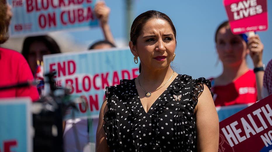 Rep. Delia Ramirez calls DHS 'greatest threat to our safety' after ICE shooting of illegal alien in Houston
