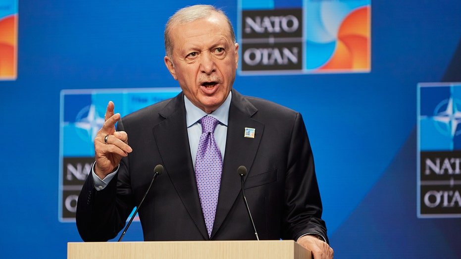 Turkey's Erdoğan: NATO's Pragmatic Power Broker Reinvents Himself Again
