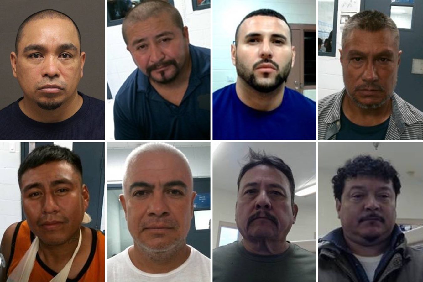 ICE sets single-day arrest record in South Texas operation targeting criminal illegal immigrants