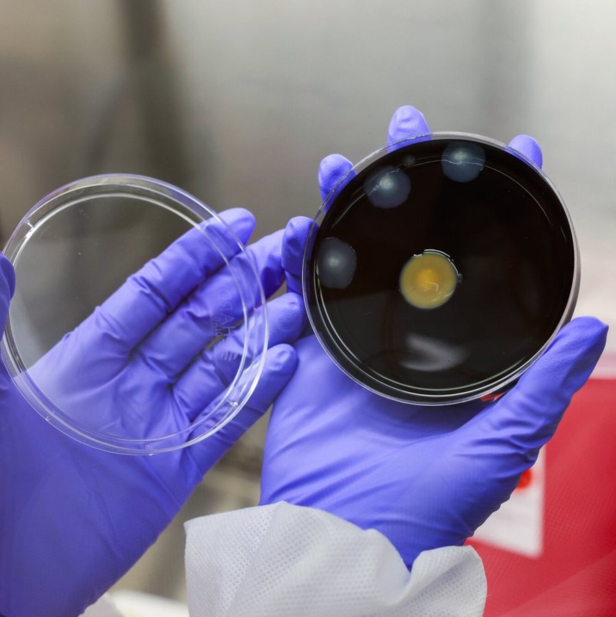 Two More Patients Die in Manhattan Legionnaires’ Disease Outbreak